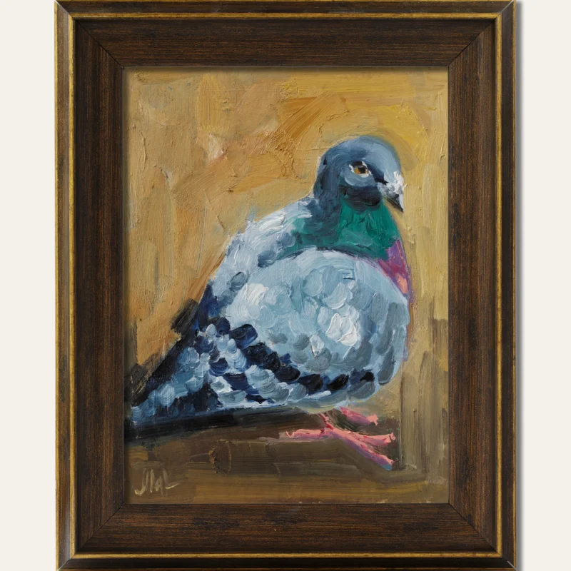 Pigeon Oil Painting Bird Framed