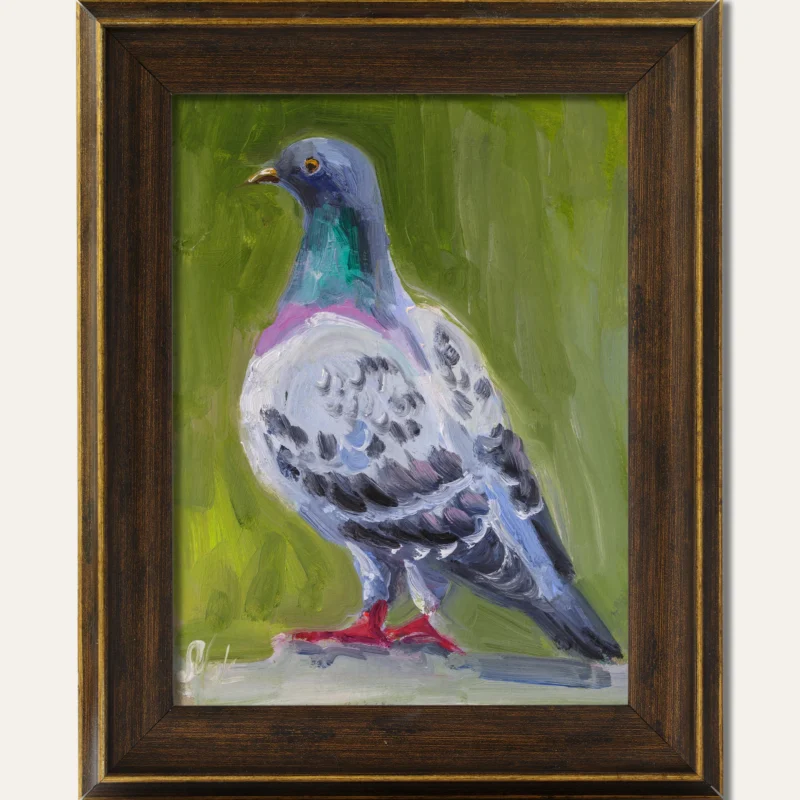 Pigeon Oil Painting Framed Bird Original Wall Art Dove Artwork