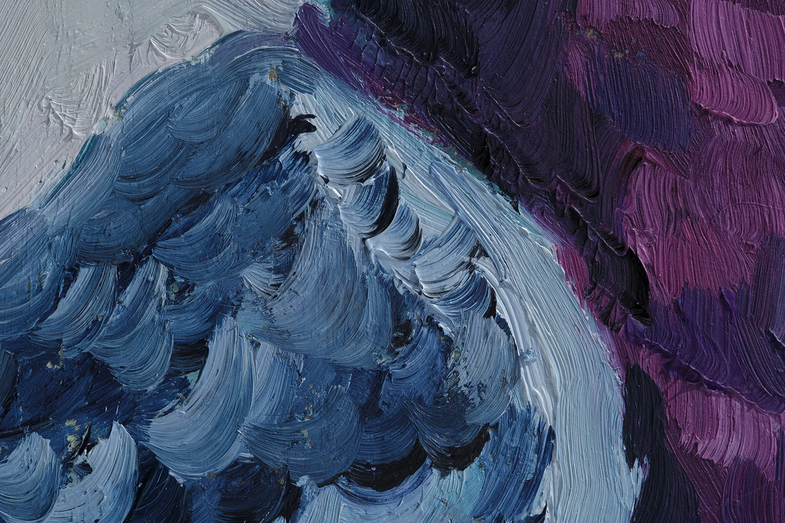 Pigeon Oil Paintingin Framed Bird Original Wall Art Dove Artwork 8x6'' - Image 10