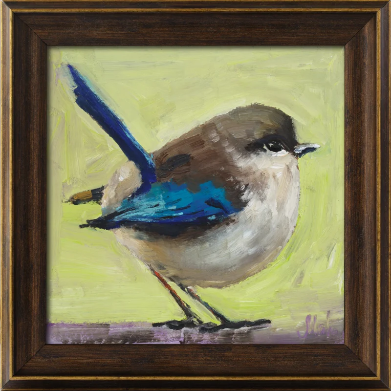 Fairy-wren Oil Painting Framed