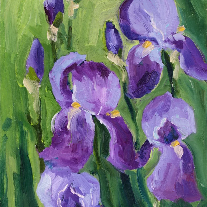 Original Iris Oil Painting