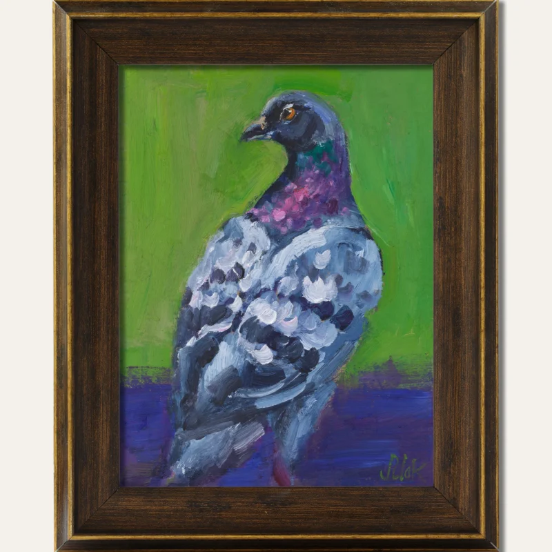Pigeon Oil Painting in Frame