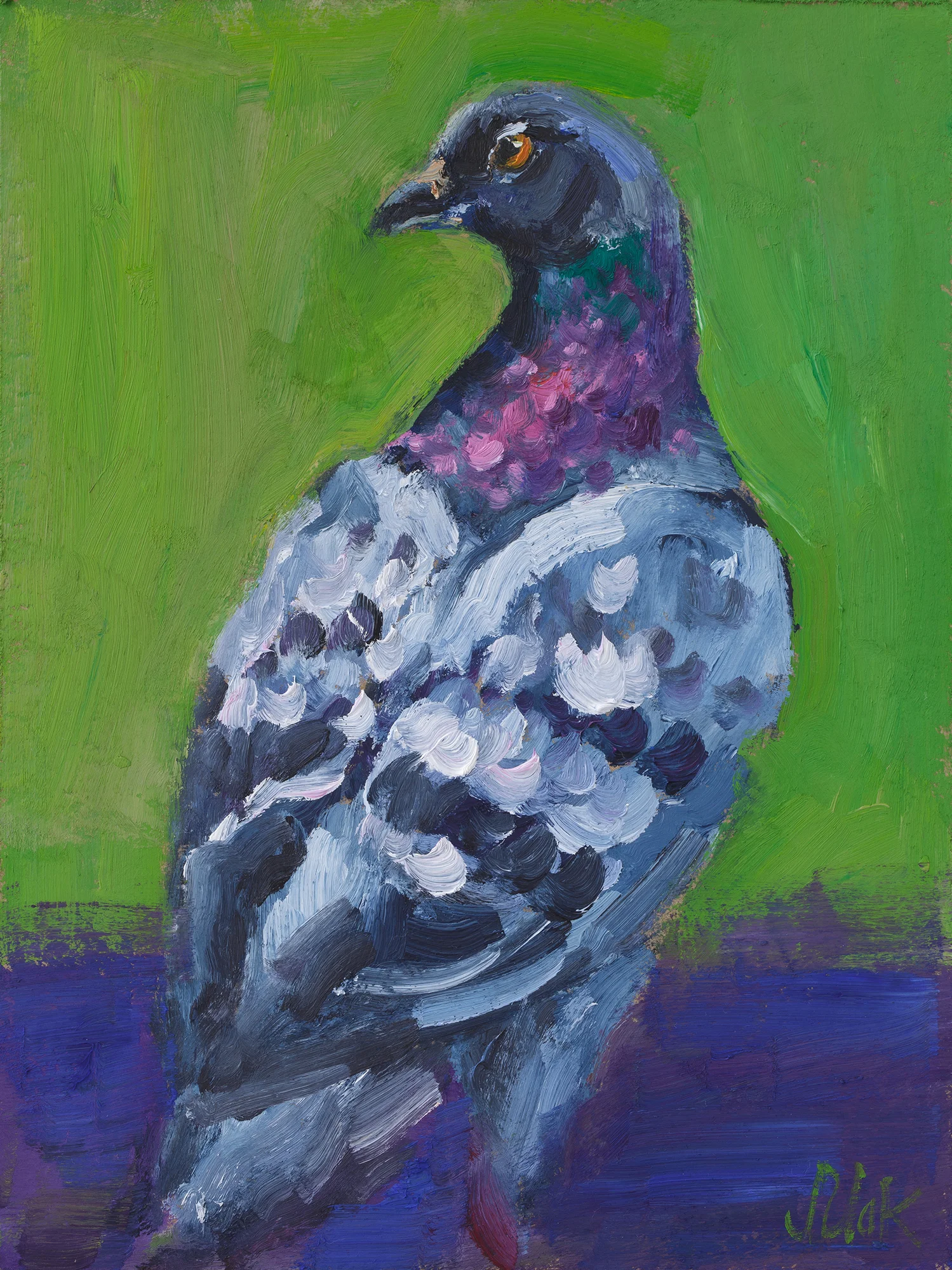 Pigeon Oil Painting in Frame Bird Original Wall Art Dove Artwork 8x6'' - Image 7
