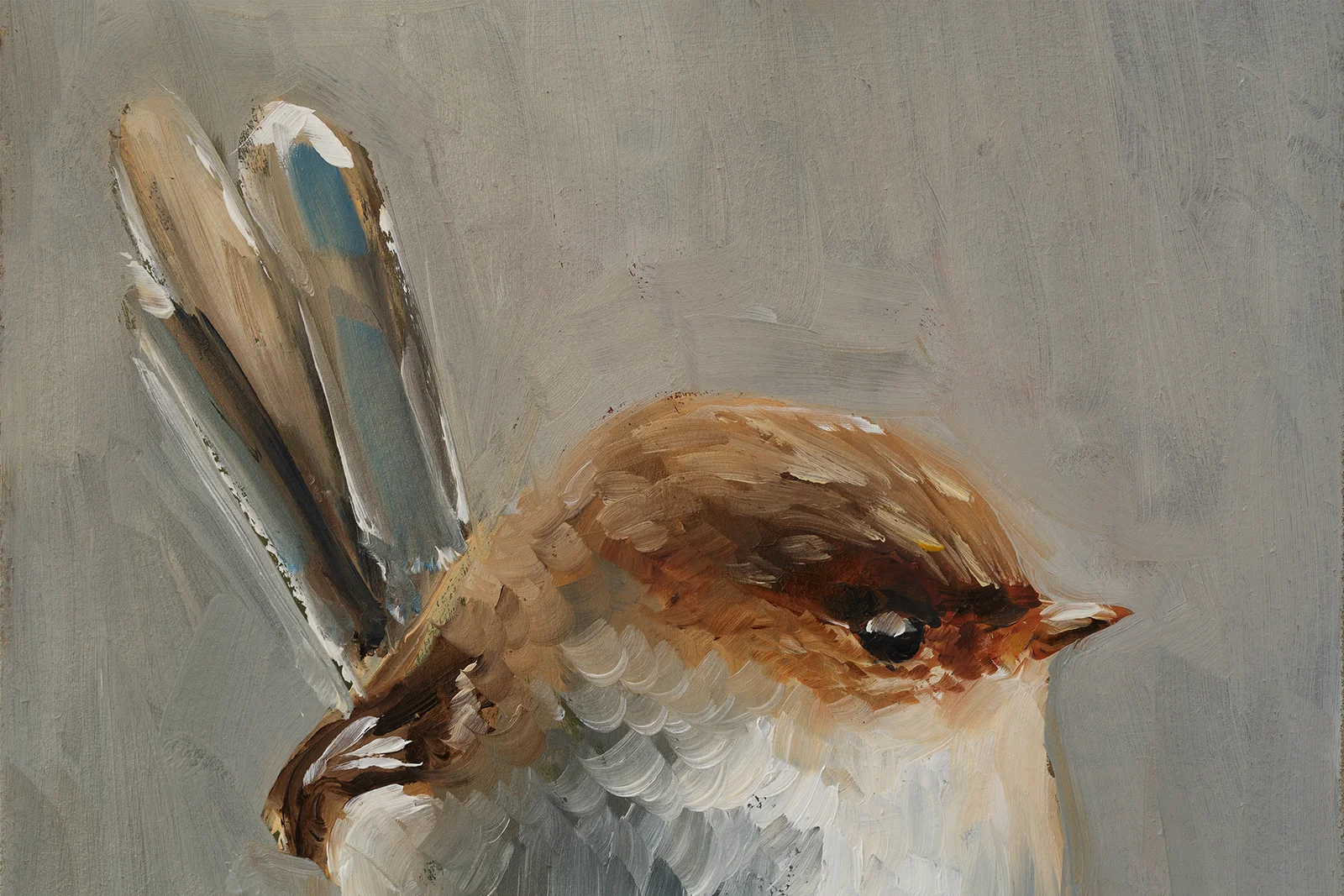Bird Oil Painting, Original Songbird Portrait - Image 8